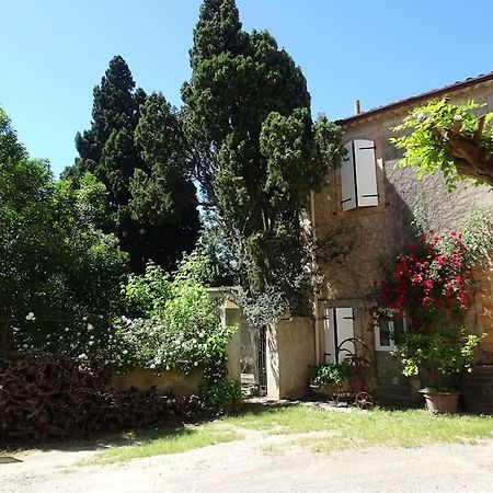 Sigean - Maison Domaine Viticole, 6 Km De La Mer מראה חיצוני תמונה