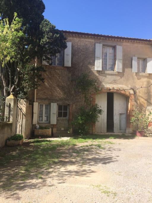 Sigean - Maison Domaine Viticole, 6 Km De La Mer מראה חיצוני תמונה