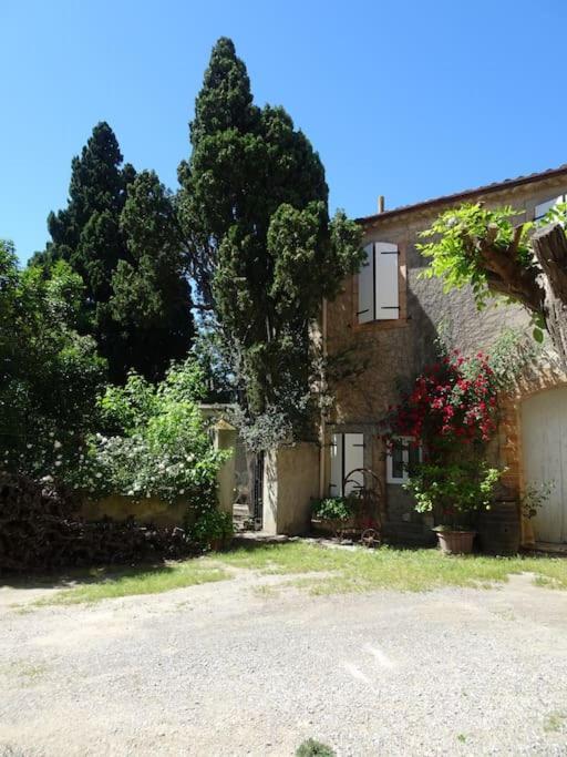 Sigean - Maison Domaine Viticole, 6 Km De La Mer מראה חיצוני תמונה