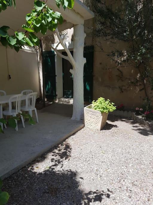 Sigean - Maison Domaine Viticole, 6 Km De La Mer מראה חיצוני תמונה